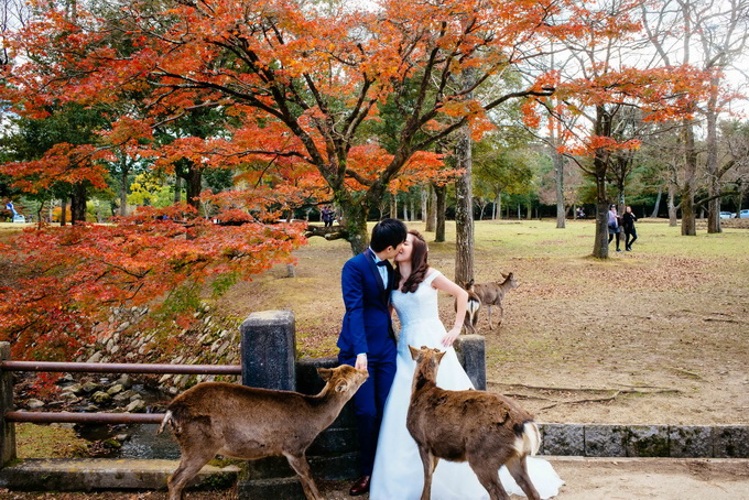 去日本拍婚纱_日本比基尼婚纱(2)